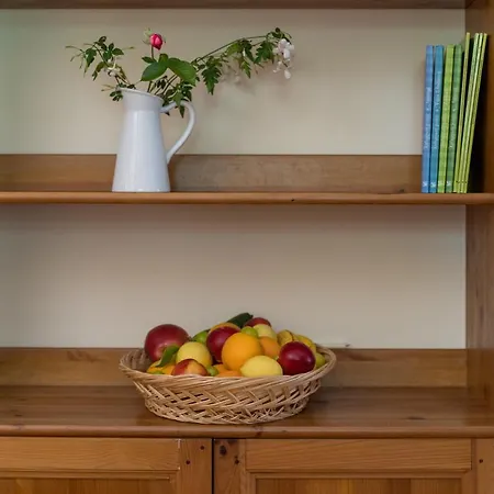 Bougainvillea Tree House 度假居 *